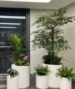 鲜花销售，绿植销售，室内软装，花篮